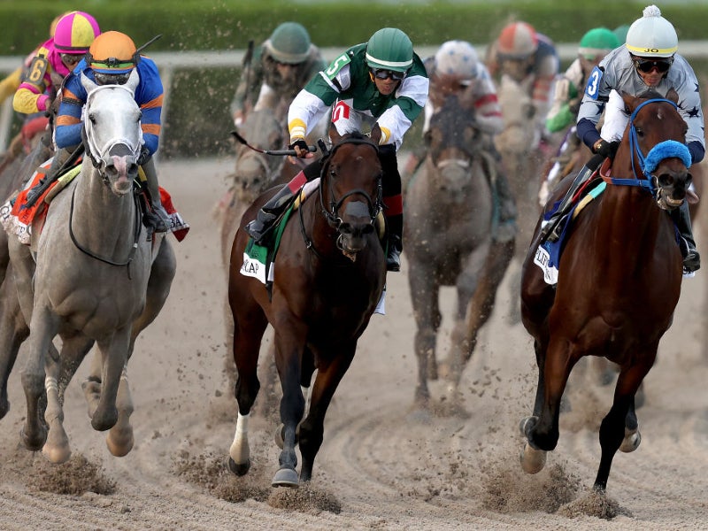 NYRA and 1/st Content to 'dramatically expand' North American horse racing  coverage - Sportcal